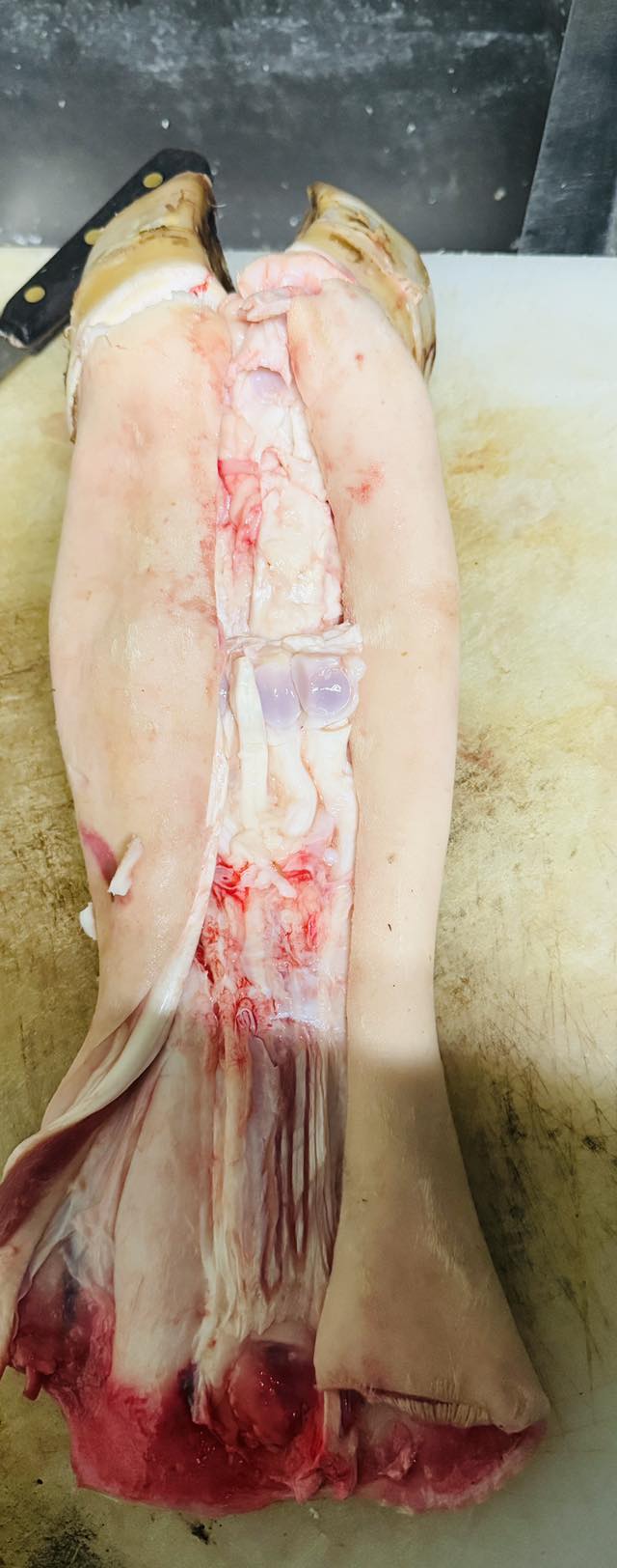 vó bò rút xương ( 骨抜牛足）